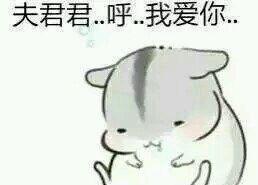 最近很火的表情包：撩老公仓鼠系列