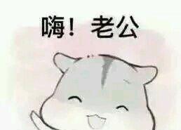 最近很火的表情包：撩老公仓鼠系列