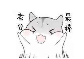 最近很火的表情包：撩老公仓鼠系列