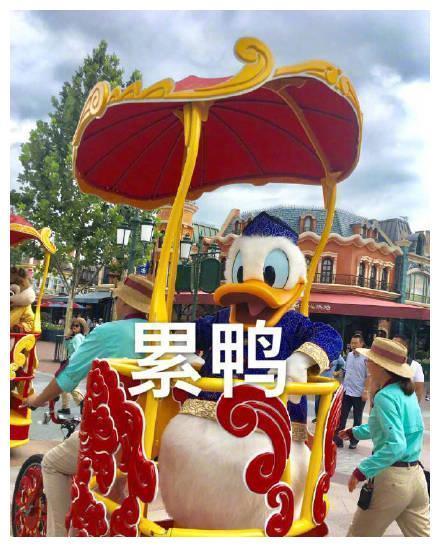 最近很火的鸭鸭表情包：元气满满鸭、很棒棒鸭，一只成精的鸭子！