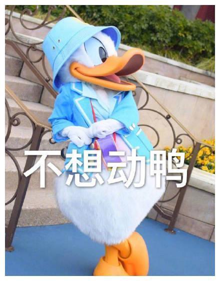 最近很火的鸭鸭表情包：元气满满鸭、很棒棒鸭，一只成精的鸭子！