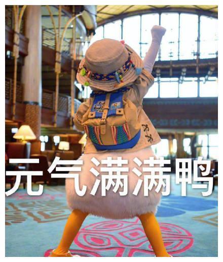 最近很火的鸭鸭表情包：元气满满鸭、很棒棒鸭，一只成精的鸭子！