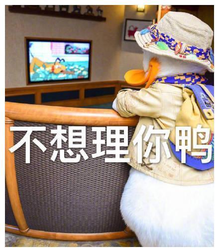 最近很火的鸭鸭表情包：元气满满鸭、很棒棒鸭，一只成精的鸭子！