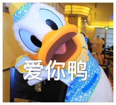 最近很火的鸭鸭表情包：元气满满鸭、很棒棒鸭，一只成精的鸭子！