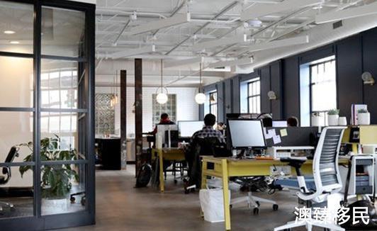 千万不要去新西兰留学,过来人的我肠子都悔青了