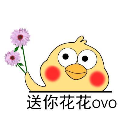 小黄鸡高清表情包系列