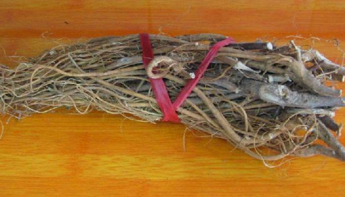 此草南方最常见，人称“虎尾轮”，煲汤味道一绝，价值15元一斤