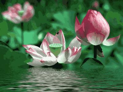 活在当下就是最大的幸福！（句句戳心）