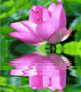 ​活在当下就是最大的幸福！（句句戳心）