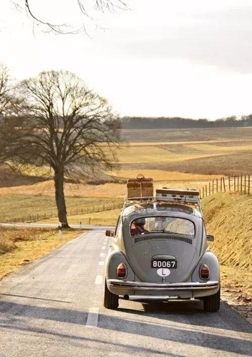 我想出去走一走，看看这个大世界