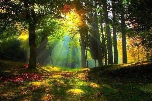 我想出去走一走，看看这个大世界