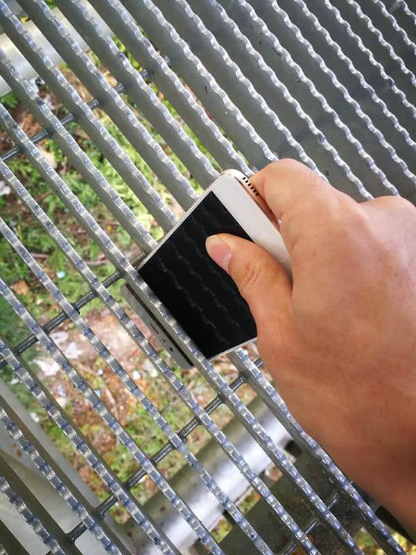 “福道”——在森林顶端穿行