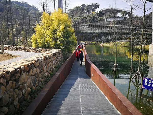 “福道”——在森林顶端穿行