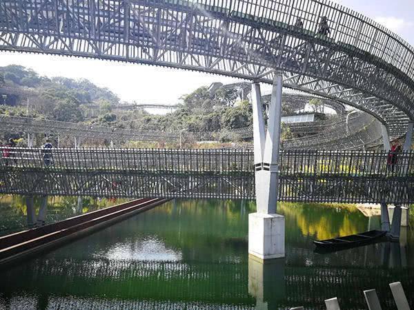 “福道”——在森林顶端穿行