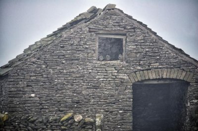 ​考眼力，每张图里都有猫头鹰，你能成功找到几只