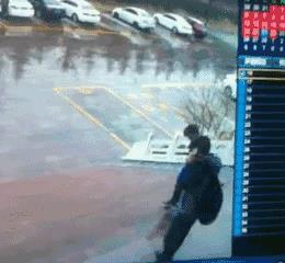 “蠢”字下面两只虫子哪只是公的,哪只是母的……