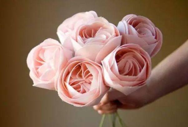 “高档玫瑰”朱丽叶,花开浓香四溢,美不胜收,可以说是养花首选