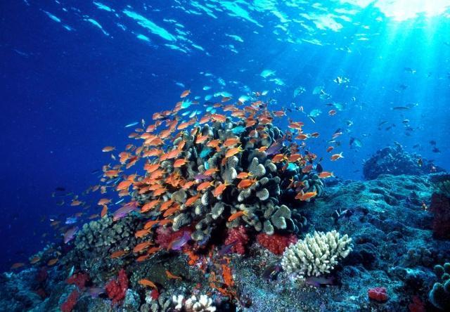 来自恐怖片的温馨提示,博比特虫发来消息小心脚下