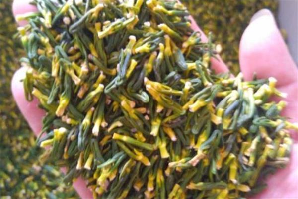 莲子心泡水可以天天喝吗 经常喝莲子心泡水好吗