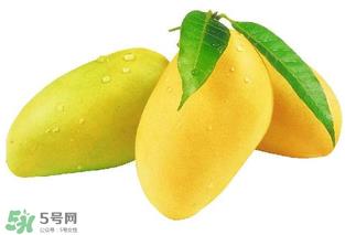 芒果哪里的最好吃?芒果哪种品种好吃? 芒果哪里的最好吃?芒果哪种品种好吃?