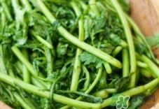 吃蓬花菜有什么好处?蓬花菜的功效与作用 吃蓬花菜有什么好处?蓬花菜的功效与作用