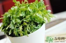 吃蓬花菜有什么好处?蓬花菜的功效与作用 吃蓬花菜有什么好处?蓬花菜的功效与作用