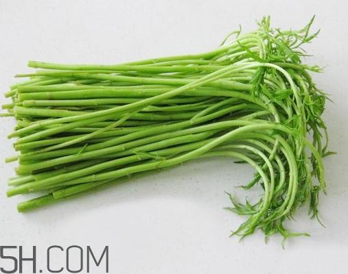 藜蒿孕妇能吃吗?藜蒿不能和什么一起吃 藜蒿孕妇能吃吗?藜蒿不能和什么一起吃