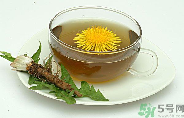 蒲公英根泡茶好还是蒲公英叶泡茶好?蒲公英根和叶哪个效果好? 蒲公英根泡茶好还是蒲公英叶泡茶好?蒲公英根和叶哪个效果好?