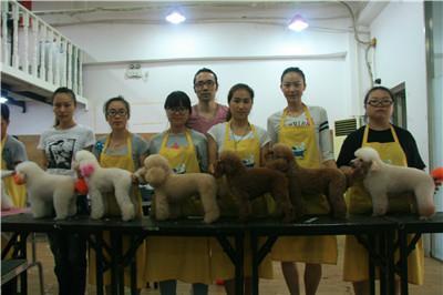 宠物美容师一个月工资多少