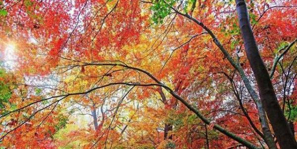 这个地方虽然只有少数人知道，却美到令人窒息