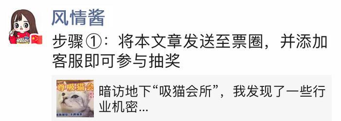 暗访地下“吸猫会所”，我发现了一些行业机密…