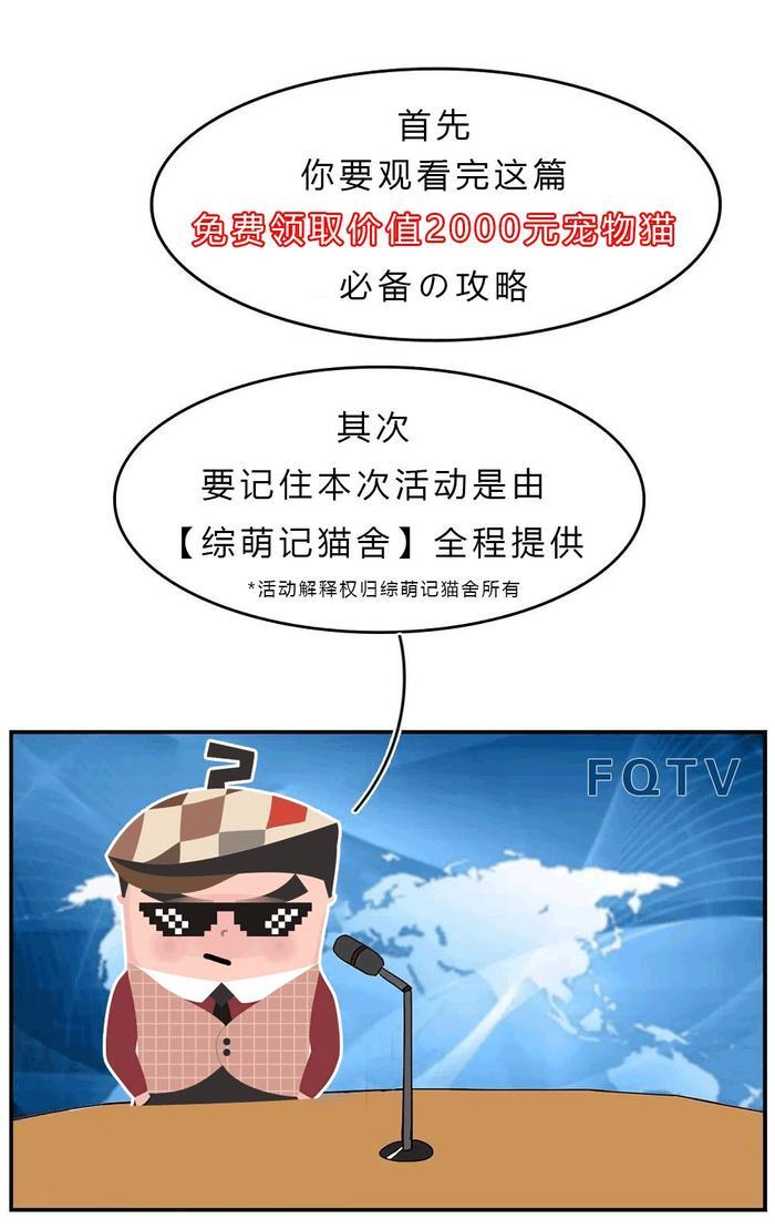 暗访地下“吸猫会所”，我发现了一些行业机密…