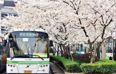 ​斜土路的89路