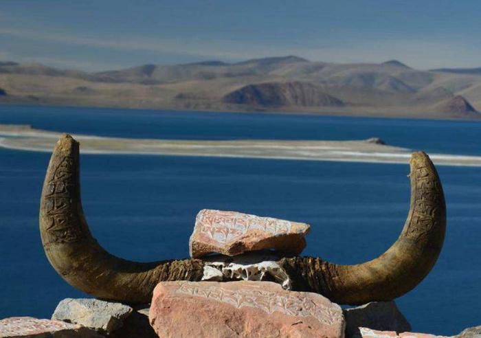 西藏“神秘”的无人区到底有多危险？不看不知道，一看吓一跳