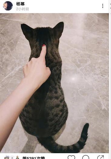 再次秀恩爱？杨幂魏大勋隔空互动？同款文案引热议！