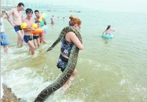 海蟒是海洋中的蜥蜴，虽然已经灭绝很久了，但是繁衍出巨蜥的出现