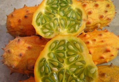 ​世界上最奇葩的黄瓜，非洲角黄瓜全身长刺