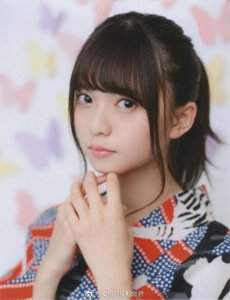 ​各种各样可爱的小鸟