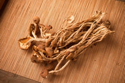 ​蘑菇怎么种植