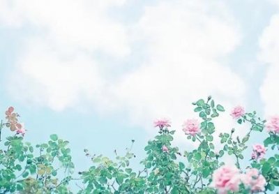 ​多伦斯衣柜怎么样大家告诉一下多伦斯净水器售后怎么样