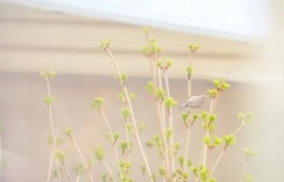 ​1000平健身房装修费用健身房装修造价是多少