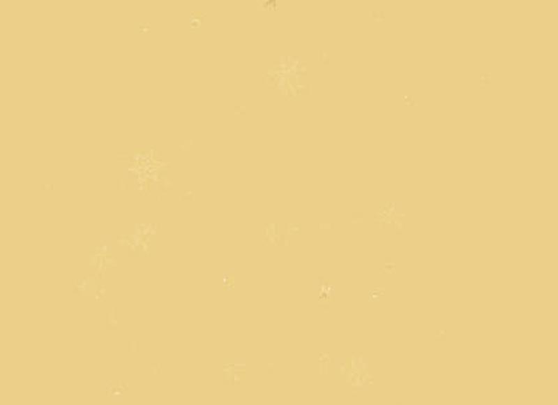 女朋友和兄弟之间该如何取舍！