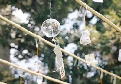 ​趣知识：熟鸡蛋能用微波炉加热吗？熟鸡蛋可以用微波炉加热吗？