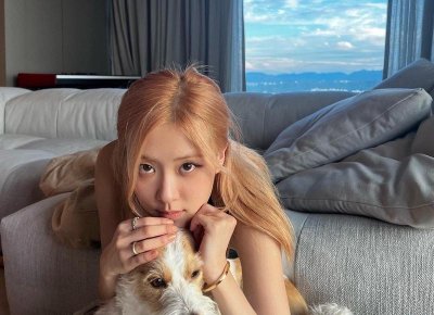 ​怎么看朋友圈偷偷访客记录 朋友圈终于可以查访客记录了