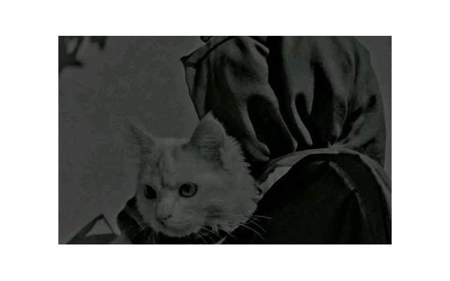 老婆有外遇怎么挽回，老婆有外遇，如何挽回？