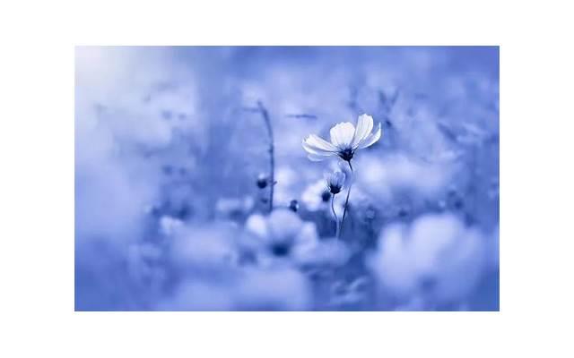 回复女生早安的高情商话术(套路女孩子说早安的土味情话)