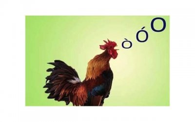 ​夫妻感情好不好床上见分晓