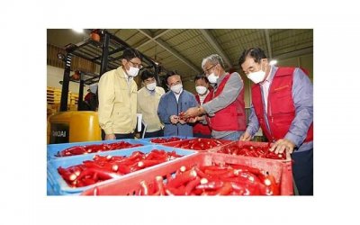 ​假结婚是不是属于无效婚姻