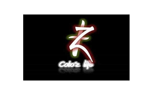 老婆失去信任,怎么挽回，失去信任的老婆，如何挽回？