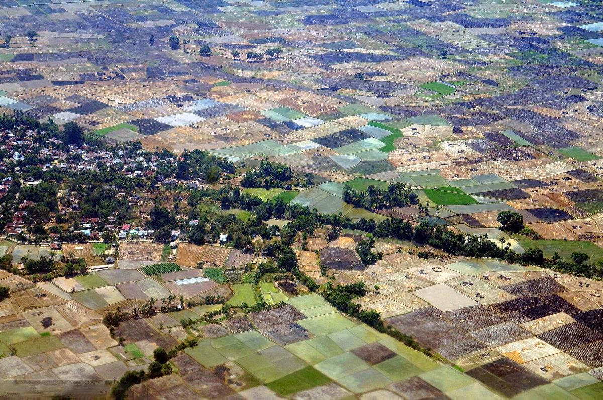 直击最真实的印尼，看看老百姓月入多少钱